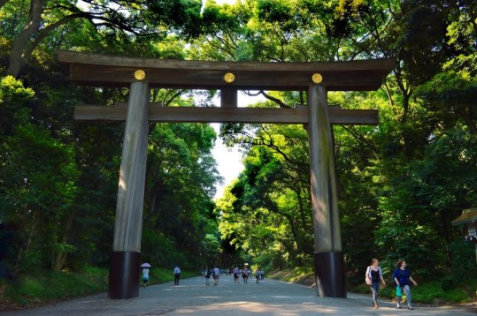 Tall Tori Gate