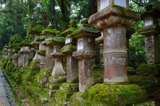 moss lanterns