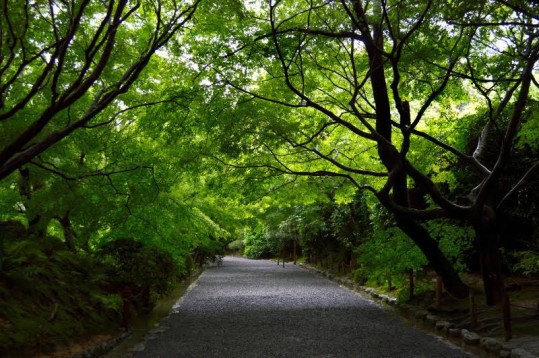 walking path