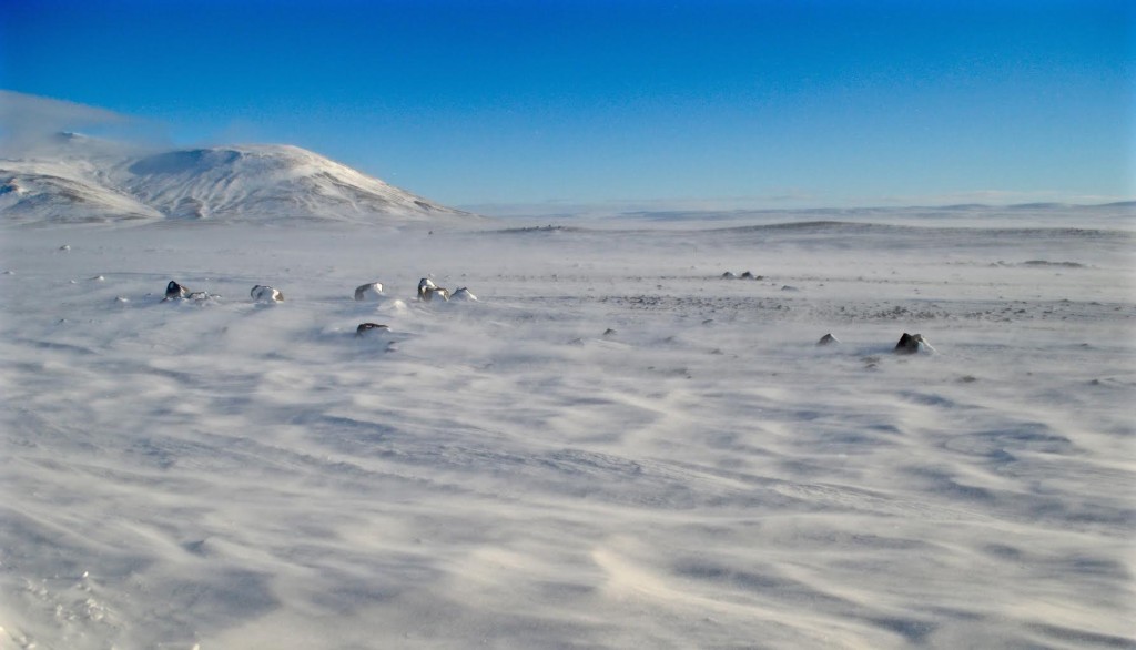 Iceland. Glacier