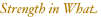 shapeimage_7_link_12