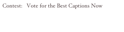 Contest:   Vote for the Best Captions Now